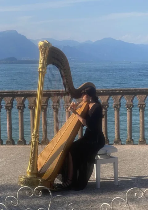 Nuovo corso: Arpa Celtica